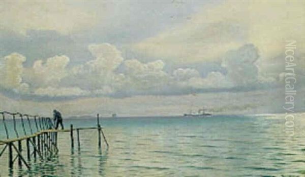 Parti Fra Oresund Med Badebro Og Dampskib Oil Painting by Christian Blache