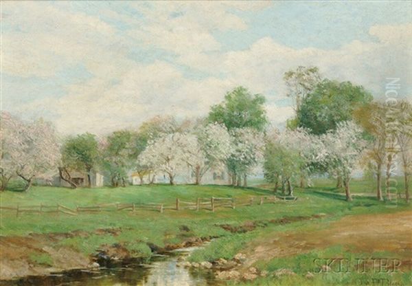 Spring Orchard Oil Painting by Olive Parker Black