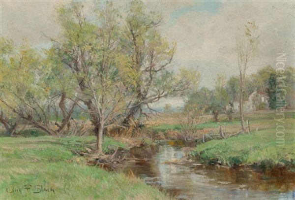 Along The Riverbend Oil Painting by Olive Parker Black