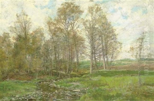 A Rocky Brook In A Green Field Oil Painting by Olive Parker Black