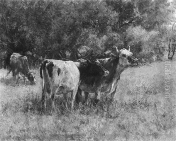 Cattle Grazing In Spring Pastures Oil Painting by Olive Parker Black