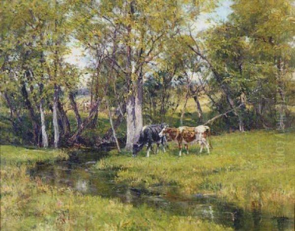 Pastoral Landscape With Cows Next To A Stream And Tall Trees In The Background Oil Painting by Olive Parker Black