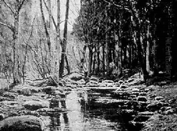 The Wooded Stream, Early Autumn Oil Painting by Olive Parker Black