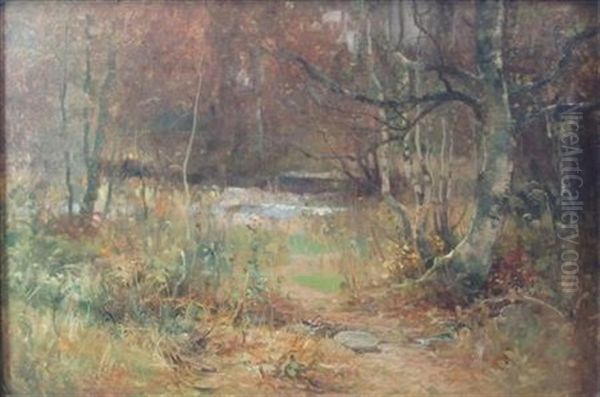 A Stream In The Woods Oil Painting by Thomas Bromley Blacklock