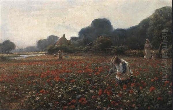 Picking Poppies Oil Painting by William Kay Blacklock