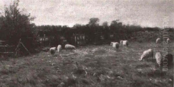 Flock Grazing In A Farmyard Oil Painting by John Blair