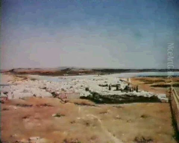 Vue Panoramique Du Cap Bon, Tunisie Oil Painting by Pascal Blanchard