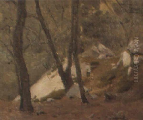 Paisaje Oil Painting by Pedro Blanes Viale