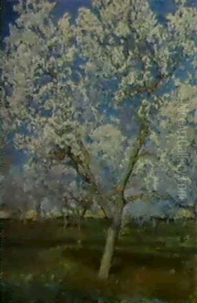 Almendros En Flor, Mallorca Oil Painting by Pedro Blanes Viale