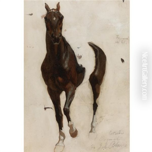 El Caballo De La Revista De Santos (preliminary Study) Oil Painting by Juan Manuel Blanes