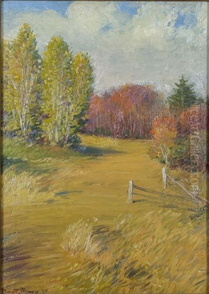 The Meadow (weston, Massachusetts) Oil Painting by Dwight Blaney