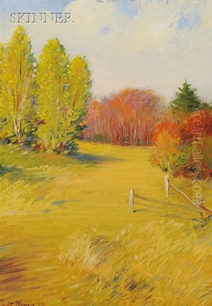 The Meadow Oil Painting by Dwight Blaney