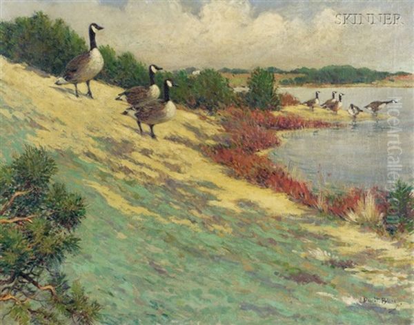 Geese At Eastham Oil Painting by Dwight Blaney