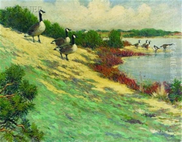 Geese At Eastham Oil Painting by Dwight Blaney