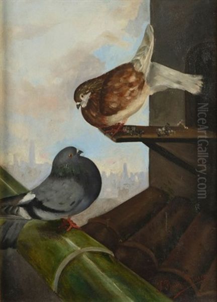 Les Pigeons Oil Painting by Jose Ruiz Blasco