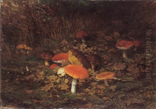 Champignons Oil Painting by Wilhelm Christiaan Constant Bleckmann