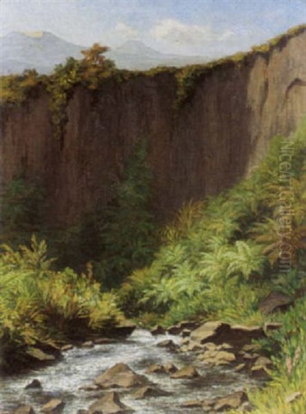 A View Of Java Oil Painting by Wilhelm Christiaan Constant Bleckmann