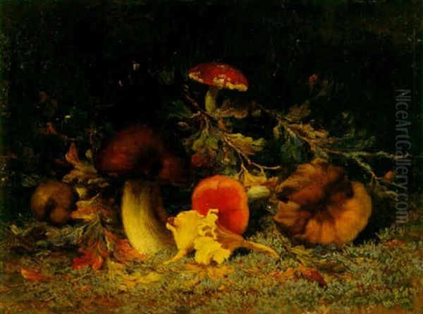 Mushrooms Oil Painting by Wilhelm Christiaan Constant Bleckmann