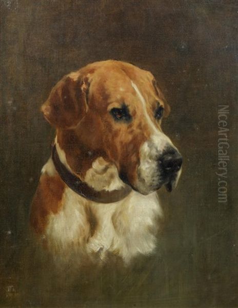 Portrait Of A Foxhound Oil Painting by Thomas Blinks