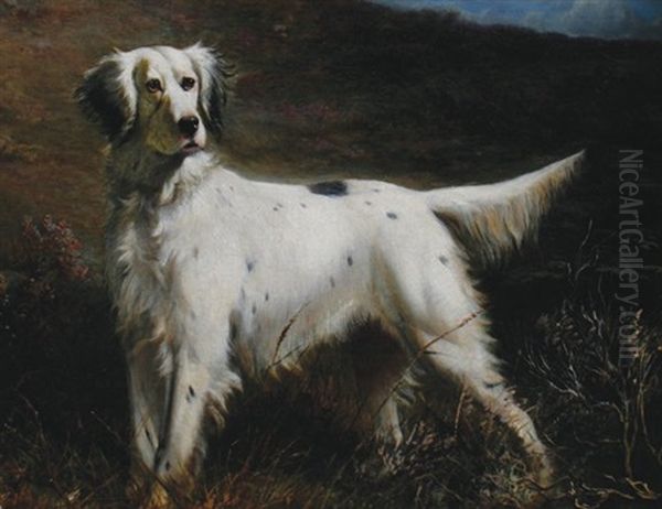 English Setter Oil Painting by Thomas Blinks