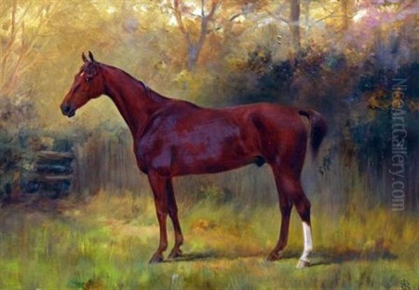 Portrait Of Randy - Horse Owned By Mr. Joseph Storey Oil Painting by Thomas Blinks