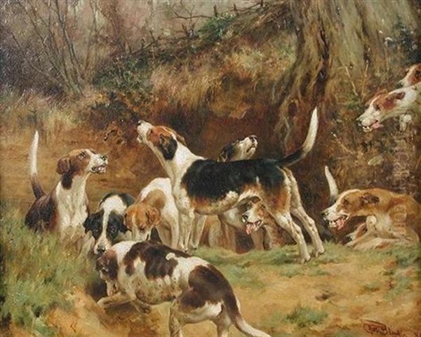 A Study Of Hounds, With The Fox Gone To Ground Oil Painting by Thomas Blinks