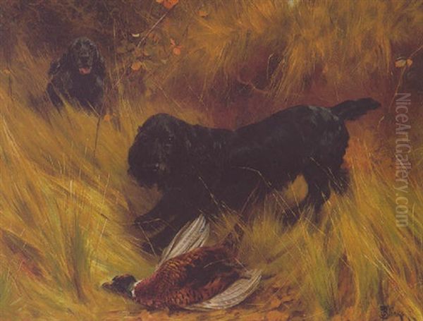 Spaniels Oil Painting by Thomas Blinks