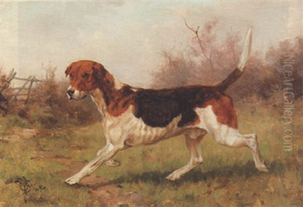 A Foxhound by Thomas Blinks