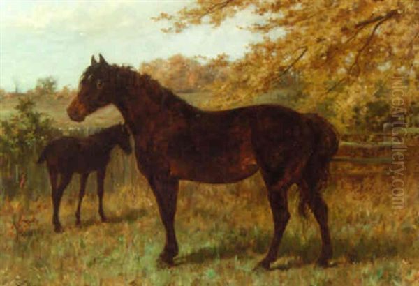 A Mare And A Foal In A Paddock Oil Painting by Thomas Blinks