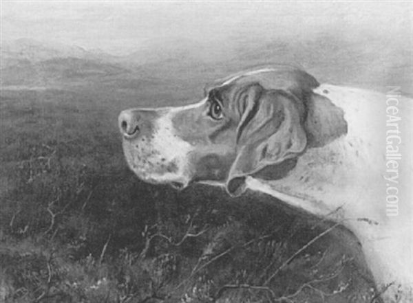 Profile Of A Hound Oil Painting by Thomas Blinks