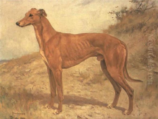 The Greyhound 'dendraspis, Winner Of The Waterloo Cup, 1909 Oil Painting by Thomas Blinks