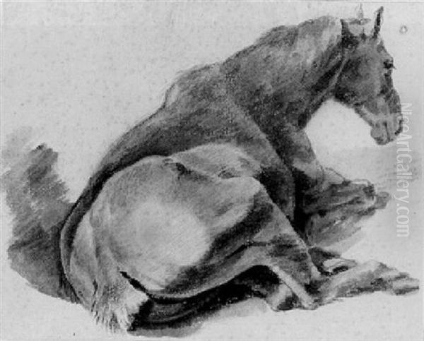 A Horse Lying Down Seen From The Back Oil Painting by Pieter van Bloemen