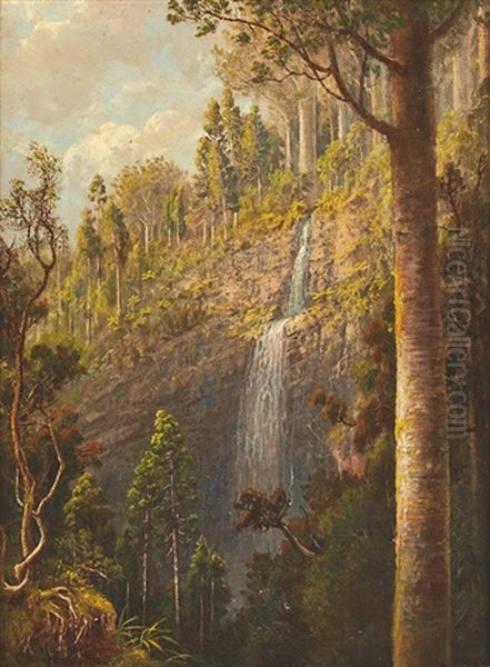 Where The Kauri Loves To Grow - Bush Scene At Whangarei Oil Painting by Charles Blomfield