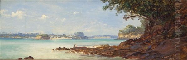 Auckland From The North Shore Oil Painting by Charles Blomfield