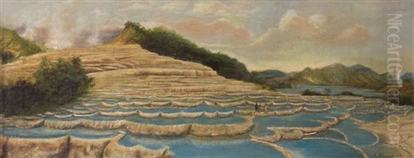 Pink And White Terraces Oil Painting by Charles Blomfield