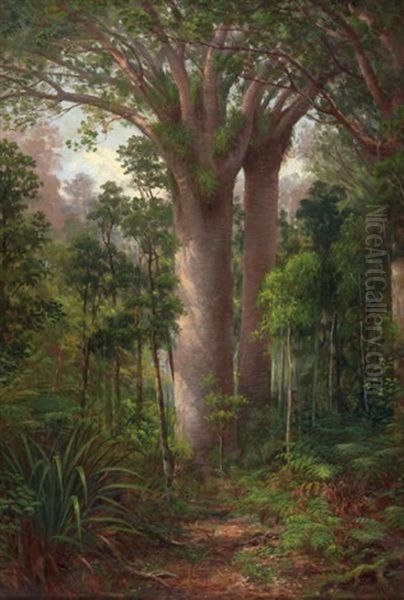 Kauri Park Kaipara Oil Painting by Charles Blomfield