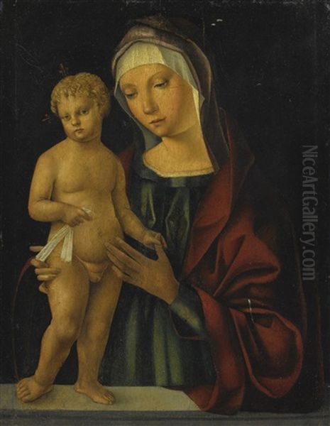 The Madonna And Child Oil Painting by Boccacio Boccaccino