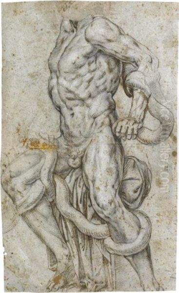 : Study After The Laocoon Oil Painting by Achille Alberti