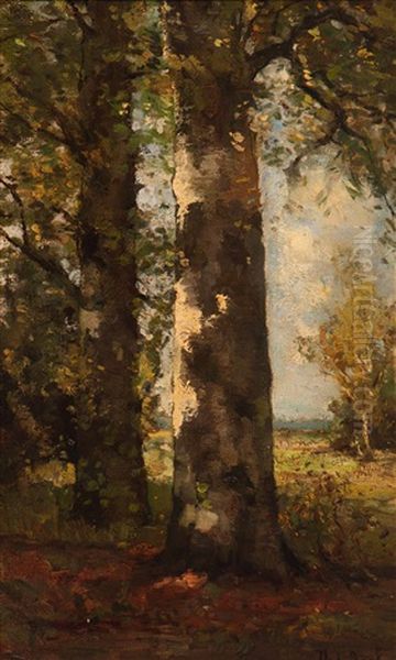 The Birch Forest Oil Painting by Theophile De Bock