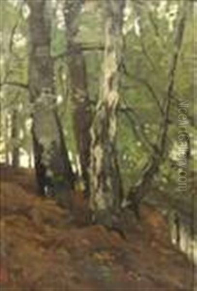 Forest View With A Stream Oil Painting by Theophile De Bock