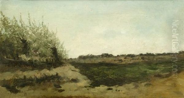 Dunenlandschaft Oil Painting by Theophile De Bock