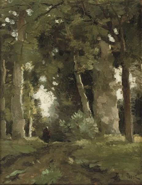 A Figure On A Wooded Path In A Forest Oil Painting by Theophile De Bock