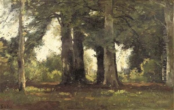 A Forest Oil Painting by Theophile De Bock