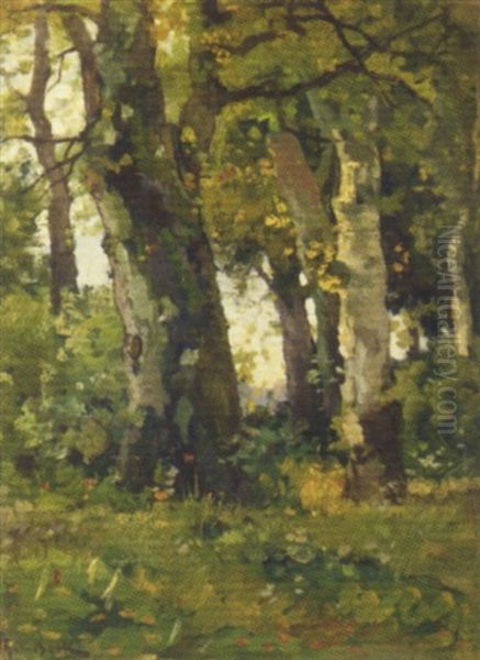 Boschgezicht: A Forest Oil Painting by Theophile De Bock