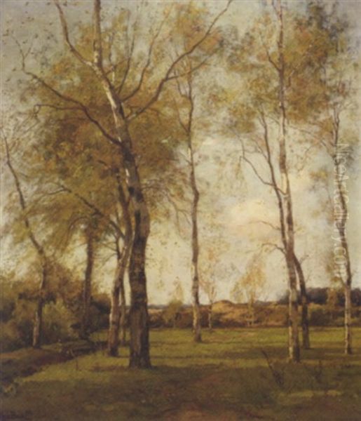 Schaapskooi - October: Birch Trees By The Dunes In Autumn Oil Painting by Theophile De Bock