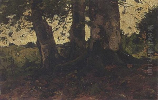 Wooded Landscape Oil Painting by Theophile De Bock