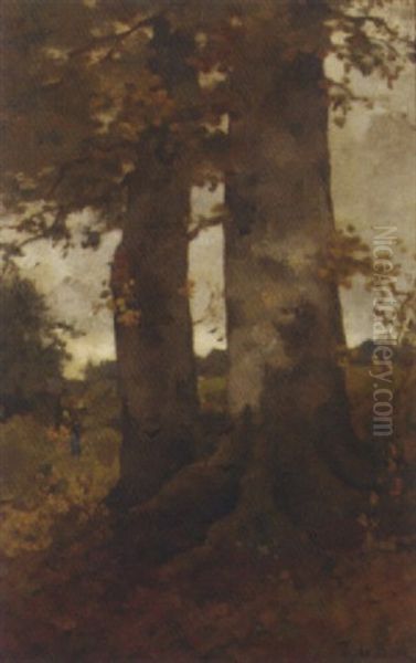 Boomen: Birch Trees By A Forest Clearing Oil Painting by Theophile De Bock