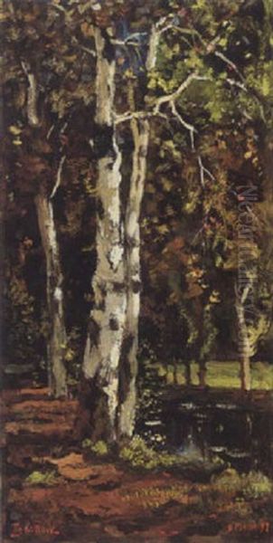 Birch Trees By A Pond Oil Painting by Theophile De Bock