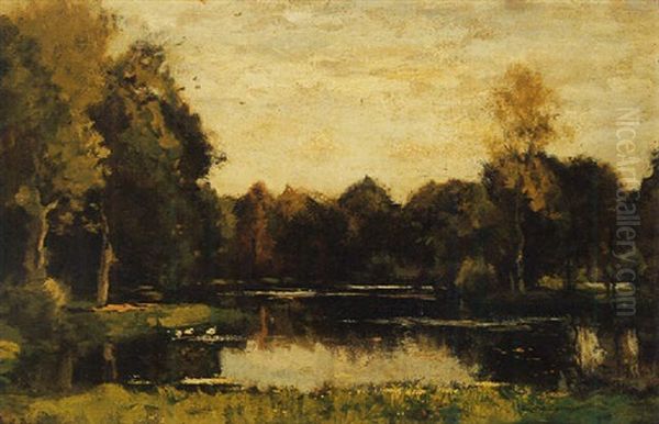 A Pond In A Wooded Landscape Oil Painting by Theophile De Bock