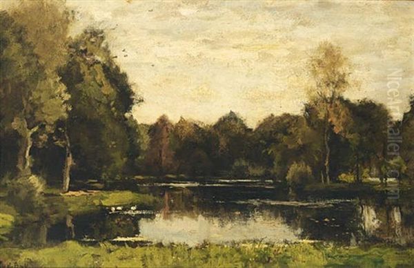 A Pond In A Wooded Landscape Oil Painting by Theophile De Bock